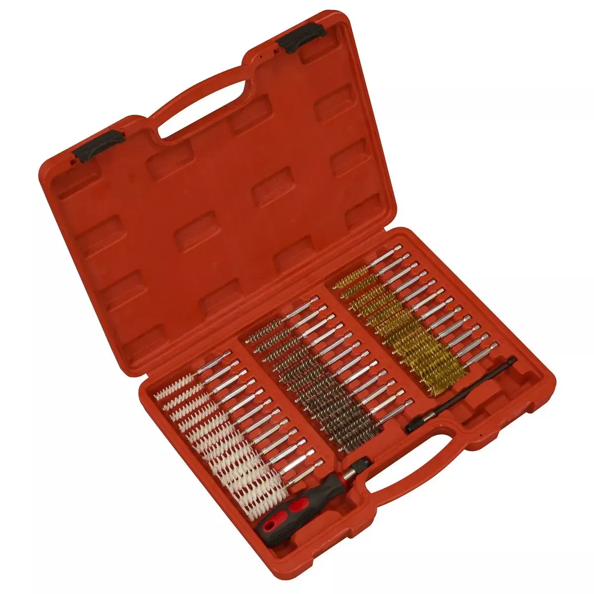 Sealey 38pc Cleaning Brush Set Injector Bore