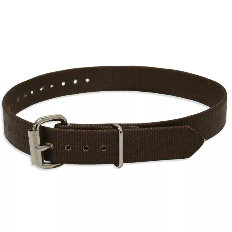Single Piece Climber Strap – 2639 /2639B