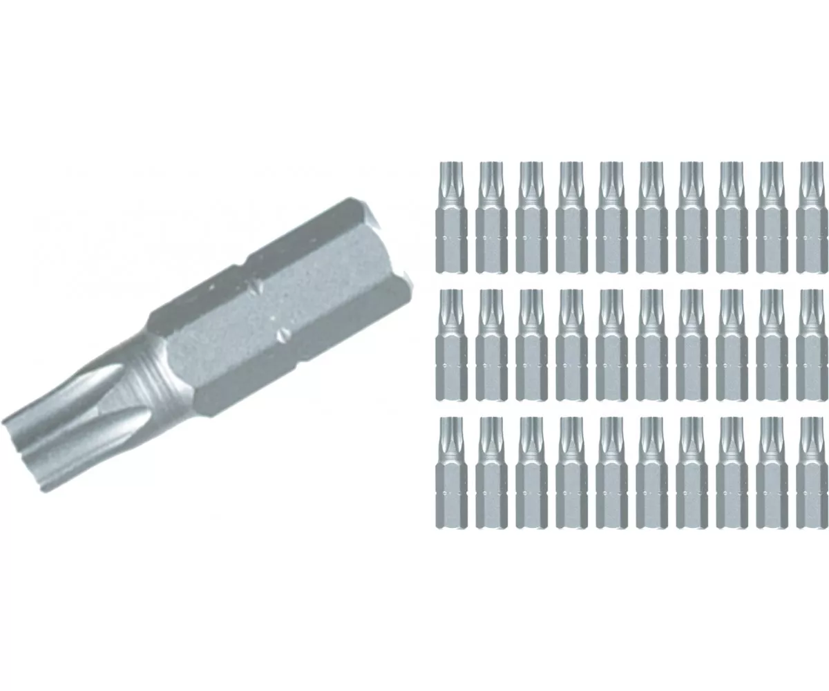 Torx Contractor Insert Bit T8 30Pc