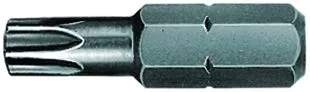 TorxPlus Security Insert Bit IPR15