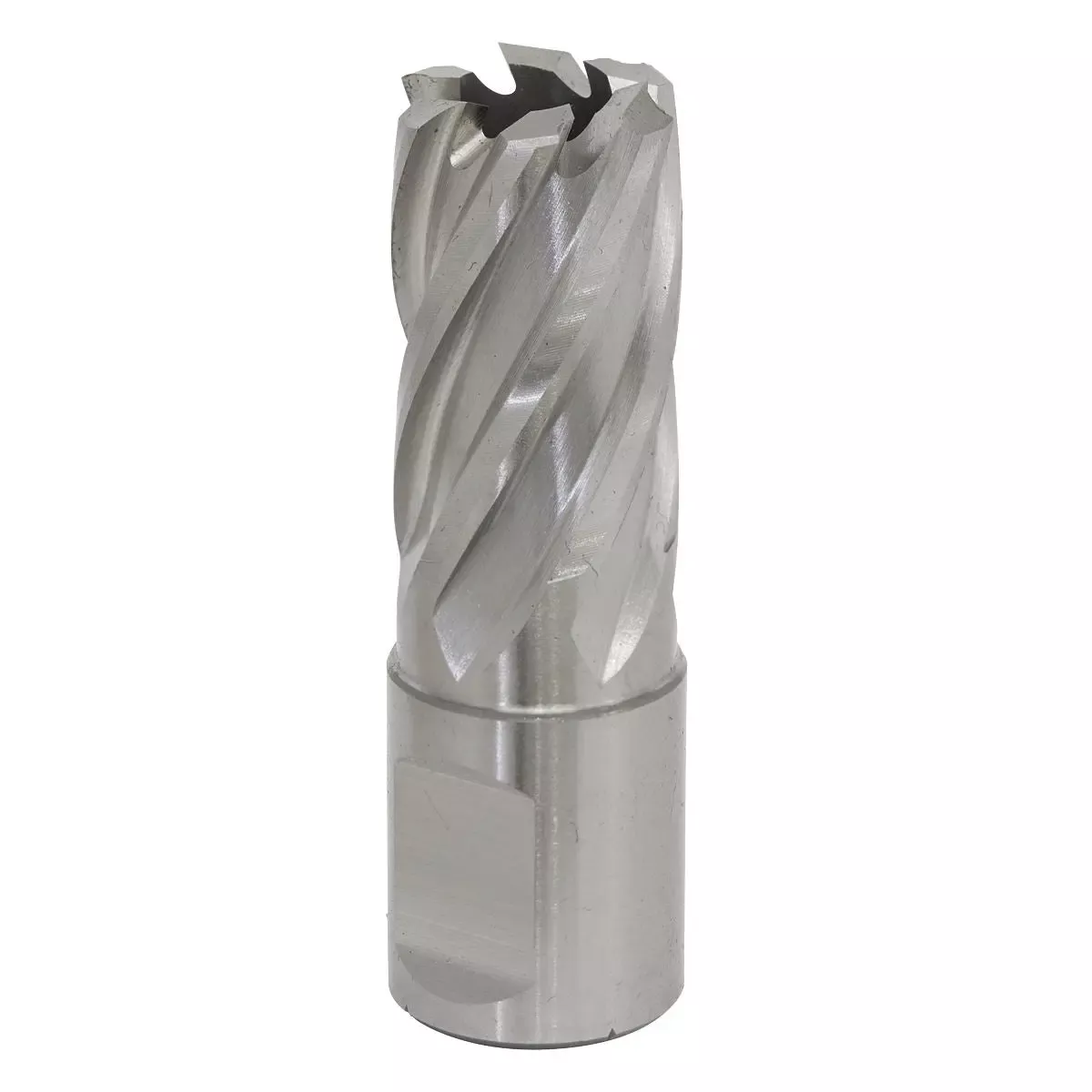 Worksafe by Sealey Mag Drill Bit HSS Ø18mm - Cut Depth 25mm